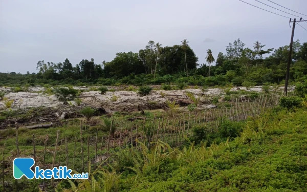 PT Raja Marga di Simeulue Aceh Disebut Serobot Lahan Warga, Ini Penjelasannya