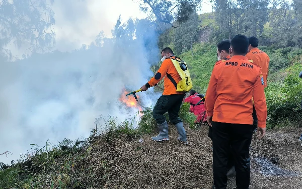 Hutan di Penanjakan Bromo Terbakar, BPBD Jatim Terjunkan Tim Pemadam