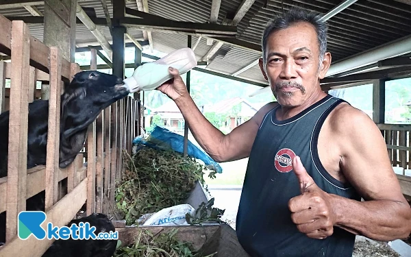 Thumbnail Berita - Peternak Asal Pacitan Bagikan Cara Rawat Anak Kambing yang Baru Lahir