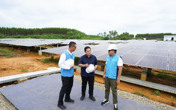 Thumbnail PLTS IKN Siapkan Listrik Kapasitas 1,5 Megawatt untuk Sukseskan Perayaan HUT ke-79 RI