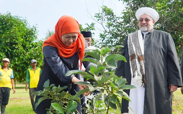 Thumbnail Kenalkan Keunggulan Jatim, Khofifah Pamerkan Agrikultur ke Syeikh Afeefuddin Al-Jailani