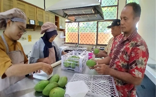 Thumbnail Berita - Polije Gelar Pelatihan Berdayakan Kelompok Tani Mangga untuk Tingkatkan Penanganan Pasca Panen