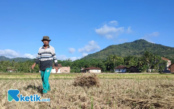 Thumbnail Dirangsang Bantuan Irigasi, Pemkab Pacitan Klaim Siap Hadapi Kemarau Panjang