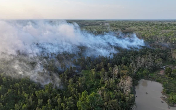 Thumbnail Berita - Tahun 2024, Luas Lahan Terbakar di Sumsel Capai 2.948,1 Hektare