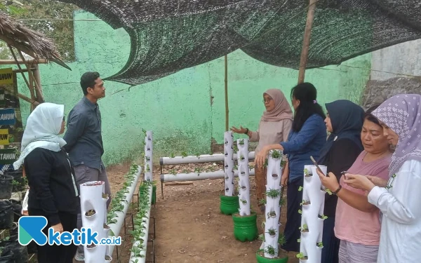 Thumbnail Berita - Tim Pengabdian Masyarakat Unmer Berikan Pelatihan Greenhouse dan Drip Irrigation untuk Warga Kota Malang