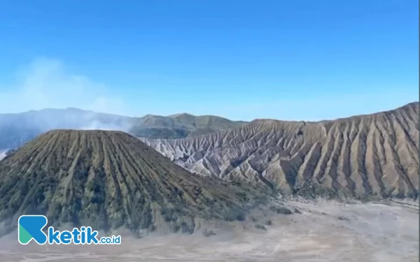 Thumbnail Polisi Temukan Ladang Ganja 1,5 Hektare di Taman Nasional Bromo