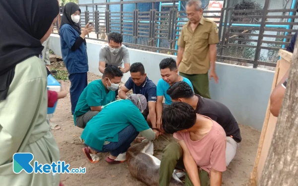 Thumbnail Berita - BBKSDA Jatim Bakal Evaluasi Lembaga Konservasi Madiun Umbul Square