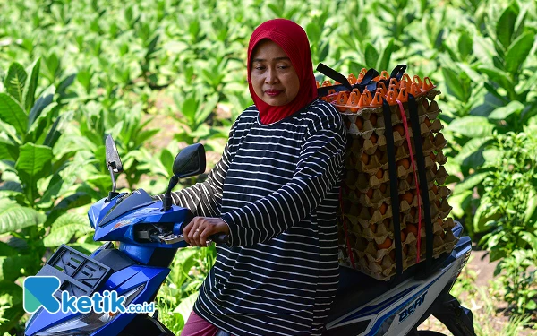 Thumbnail Seorang pekerja, Yanti hendak mengantarkan telur ayam ke toko maupun warung sembako di Kabupaten Bojonegoro, Jawa Timur, Minggu, 29 September 2024. Hingga akhir tahun 2023, total daya tersambung program EA PLN sebesar 3.647 Mega Volt Ampere (MVA) atau tumbuh sekitar 16 persen dari 2022 sebesar 3.128 MVA. (Foto: Achmad Fazeri/Ketik.co.id)