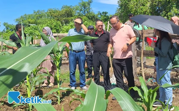 Thumbnail Berita - PT Wanatiara Persada Dorong Kualitas Pangan Karyawan, Sasar Petani Lokal Perkuat Hubungan Kekeluargaan