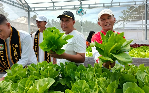 Thumbnail Berita - Camat Air Batu Tinjau Panen Perdana Tanaman Hedroponik Program Agro Wisata Hessa Air Genting