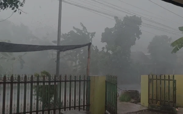 Thumbnail Berita - Sejumlah Rumah dan Pohon Tumbang di Terjang Angin Puting Beliung di Singgahan Tuban