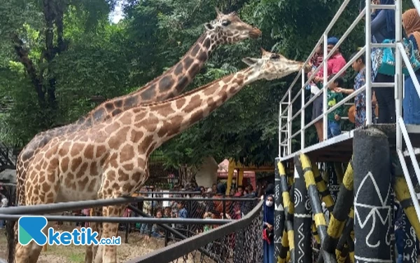 Masjid Ampel, Cheng Hoo dan KBS Jadi Jujukan  Wisatawan Rayakan Idul Fitri di Surabaya