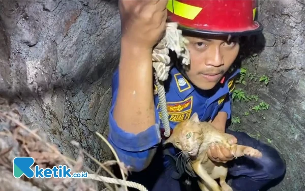 Thumbnail Berita - Sederet Insiden Unik Ditangani Damkar Pacitan: Selamatkan Kucing, Tawon hingga Gerinda Cincin