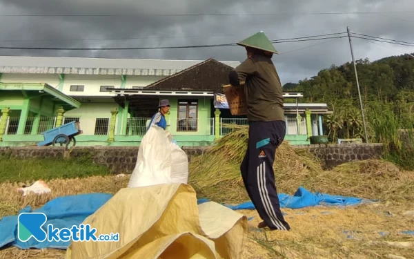 Thumbnail Berita - Jelang Lebaran 1445 H, Harga Beras di Pacitan Berangsur-Angsur Turun