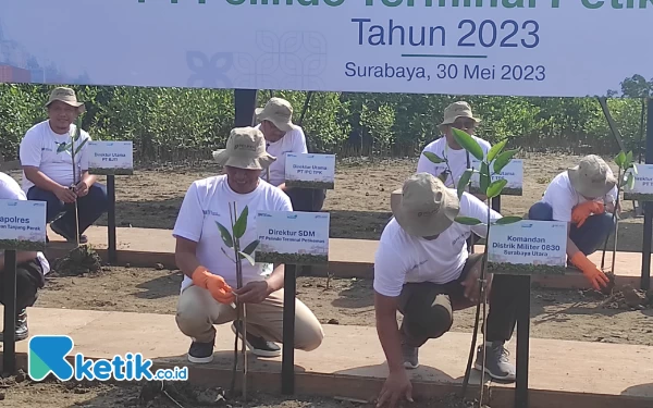 Thumbnail Berita - Jaga Lingkungan di Pelabuhan, PT Pelindo Tanam 55 ribu Pohon Mangrove