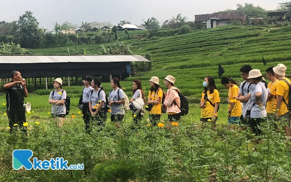 Kunjungi Brenjonk, Mahasiswa Singapura Takut Tenggelam saat Tanam Kangkung