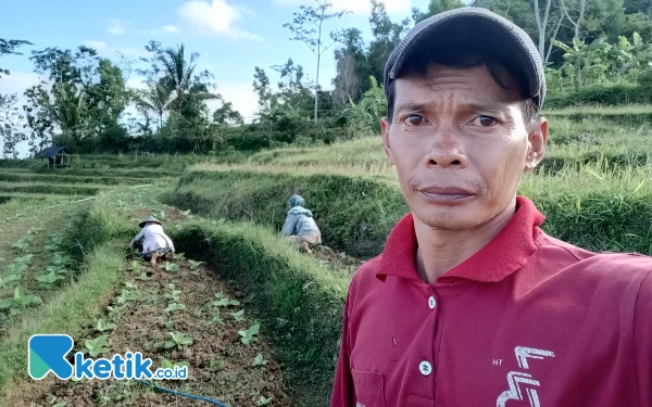 Thumbnail Empat Pekan Tanpa Hujan, Petani Tembakau di Pacitan Merana Kesulitan Air