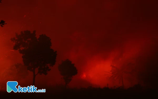 Thumbnail Kebakaran lahan mengganggu kenyamanan pengguna jalan Tol Indralaya - Palembang  KM 07  Kabupaten Ogan Ilir, Sumsel. (Foto: Wahyu R/Ketik.co.id)