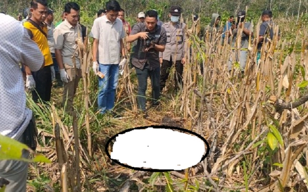 Thumbnail Mengenaskan, Mayat Perempuan Ditemukan Tinggal Kerangka di Kebun Jagung Ngawi