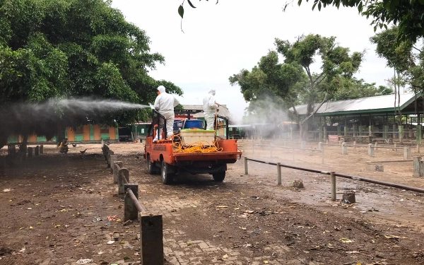 Thumbnail Kalaksa BPBD Jatim Minta Satgas PMK Tekan Penyebaran PMK