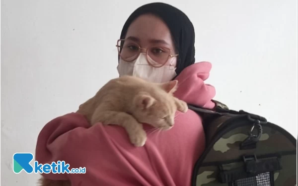 Thumbnail Cat Lovers Wajib Tahu! Ini Bahaya Bulu Kucing