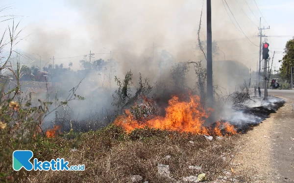 Thumbnail Cuaca Semakin Panas, Ratusan Lahan di Sidoarjo Terbakar