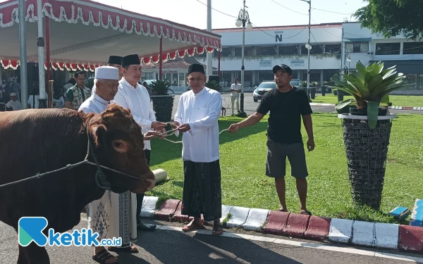 Thumbnail Peduli Honorer, Bupati Malang Bagikan 1 Ekor Sapi di Hari Raya Idul Adha