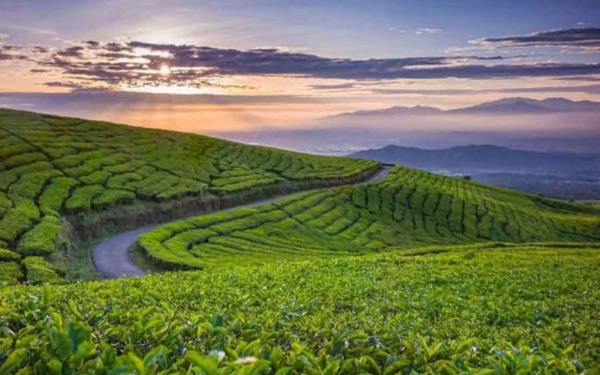 Thumbnail 5 Objek Wisata Alam di Kota Pagaralam dengan Panorama Menakjubkan