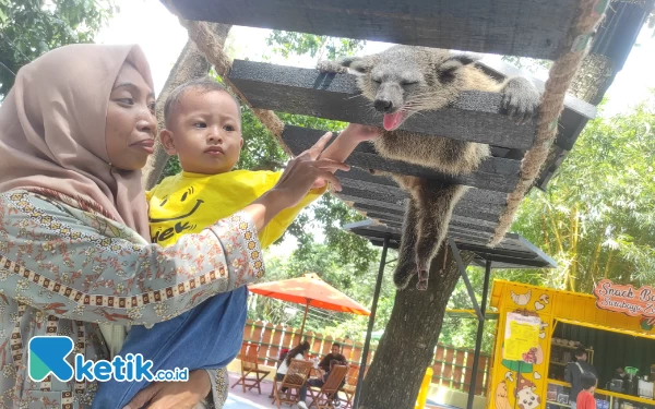 Thumbnail Berita - Mushroom House and Playland, Primadona Baru di Kebun Binatang Surabaya