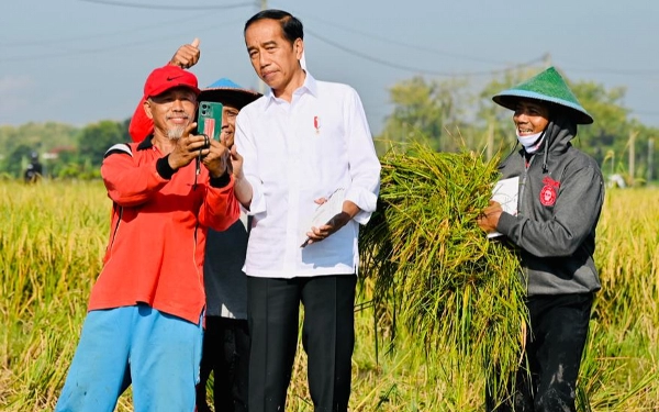 Thumbnail Tinjau Panen Raya di Ngawi, Presiden Jokowi: Produktivitas 10,5 Ton per Hektare