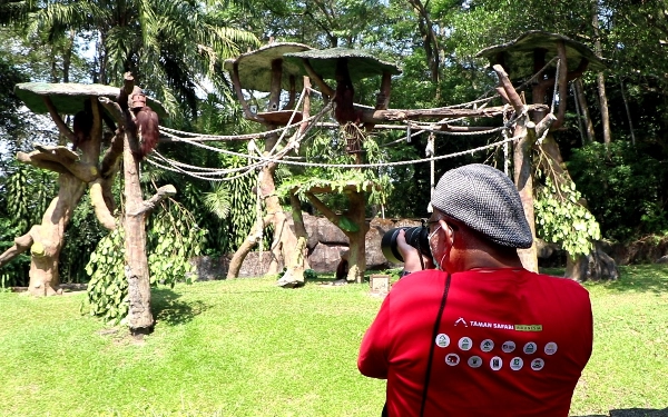 Thumbnail Taman Safari Grup Gelar International Animal Photo and Video Competition