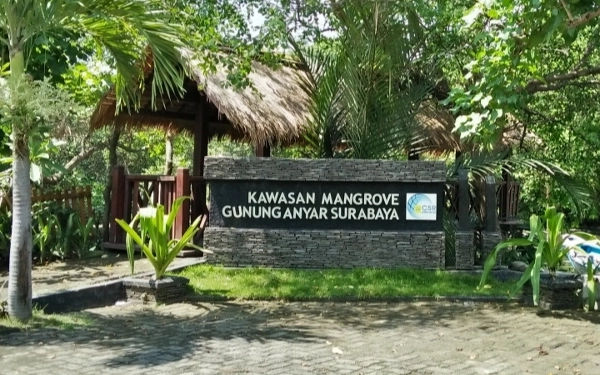 Thumbnail Hutan Gunung Anyar Akan Jadi Kebun Raya Mangrove Surabaya