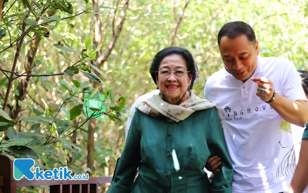 Thumbnail Eri Cahyadi: Pembangunan Kebun Raya Mangrove Surabaya Arahan Megawati dan Risma