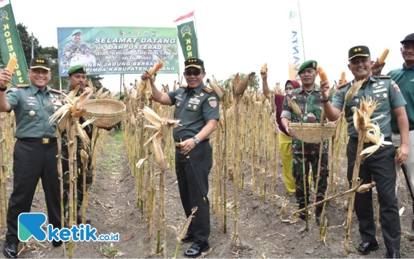 Thumbnail Berita - Dukung Ketahanan Pangan, Danpusterad Panen Jagung di Kepanjen Malang