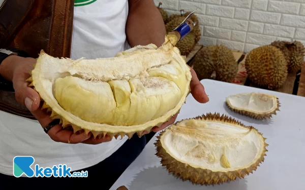 Thumbnail Durian Lokal Paling Banyak Diburu, Waspada No 5!