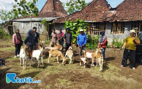 Cerita Warga Pacitan Termakan Isu Gempa, Ternak Pun Ikut Mengungsi