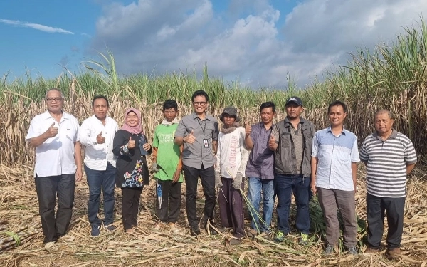 Thumbnail Berita - Petani Tingkatkan Kualitas Tebu Lewat Bimbingan Disbun Jatim