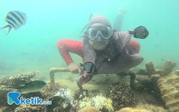 Pesona Keindahan Bawah Laut di Pulau Gili Ketapang